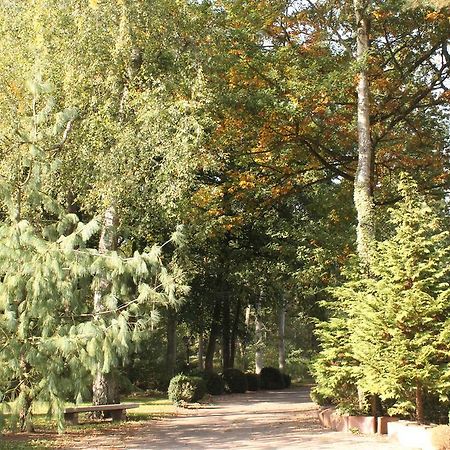 Hotel Und Restaurant Waldschloesschen Crivitz Экстерьер фото